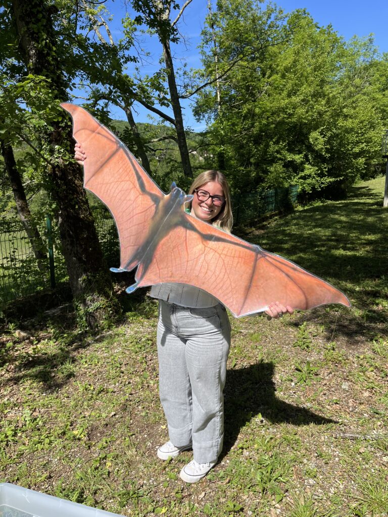Chauve-souris la plus grande du monde en taille réelle