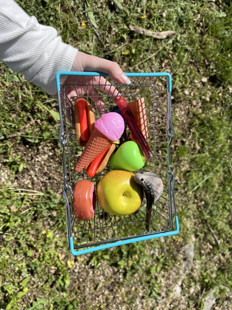 Panier de nourriture en plastique